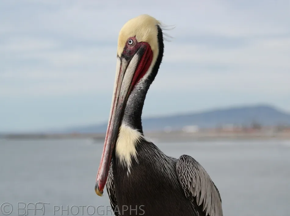 San Diego - Oceanside-1