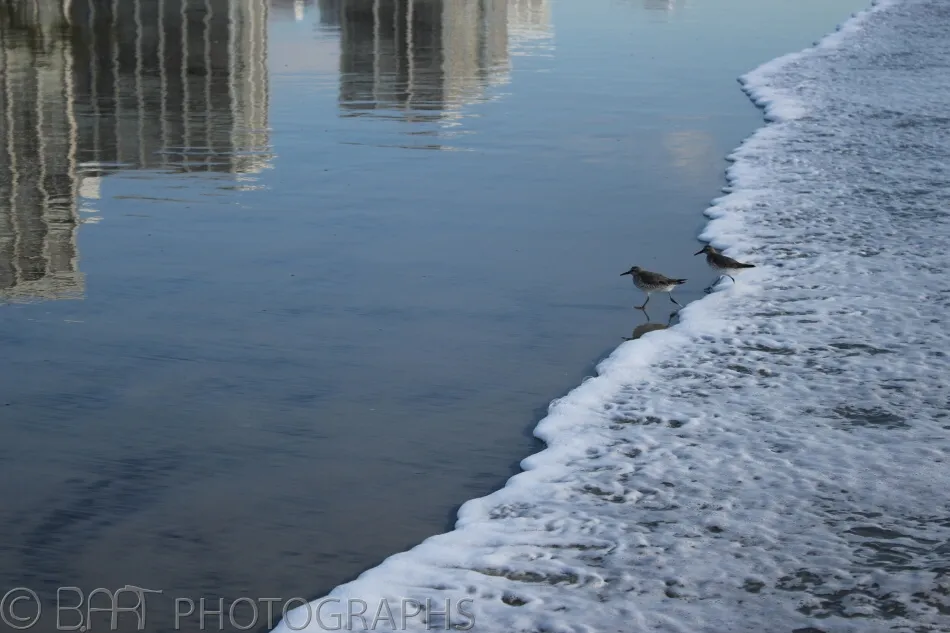 San Diego-2