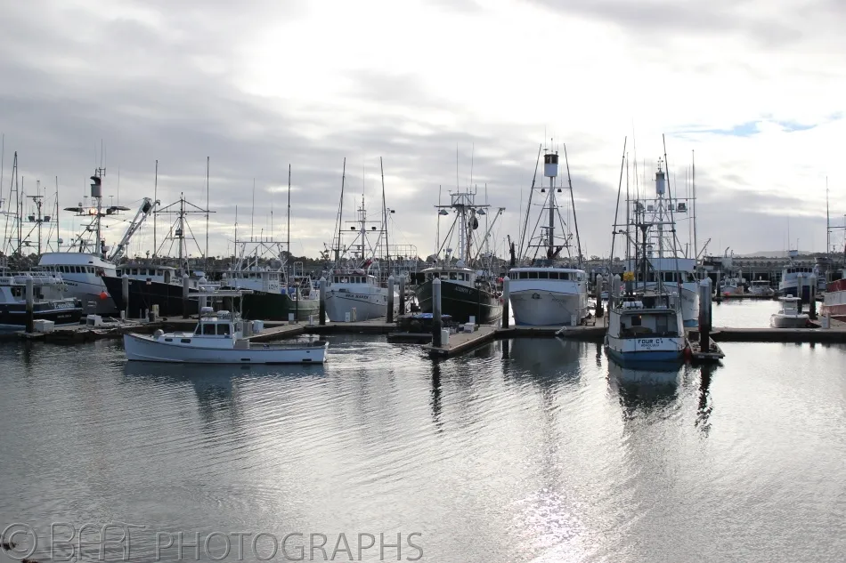 San Diego-5