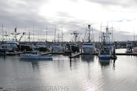 San Diego-5