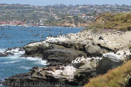 San Diego - La Jolla-0