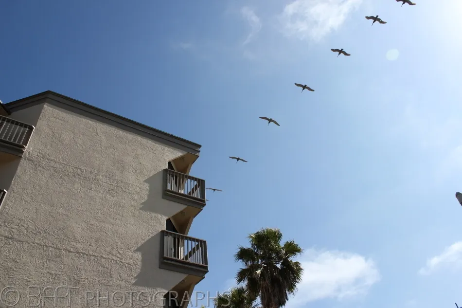 San diego-1