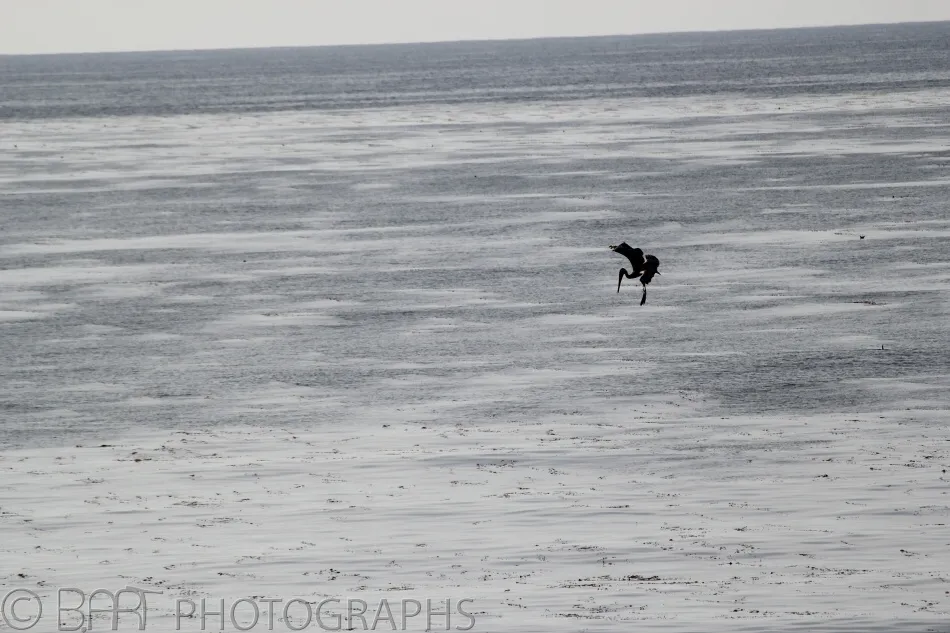 San Diego - Sunset Cliffs-1