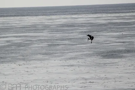San Diego - Sunset Cliffs-1