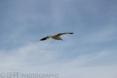 San Diego - Sunset Cliffs-3