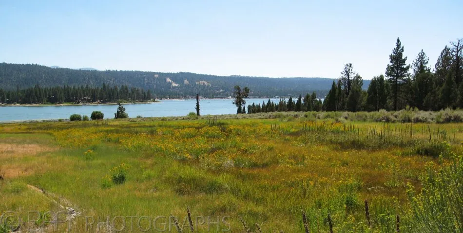 California - Big Bear-0