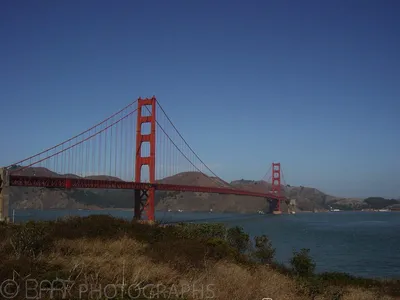 California-4