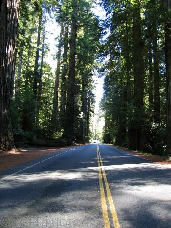Oregon & California - Coos bay & Redwood National Park-3