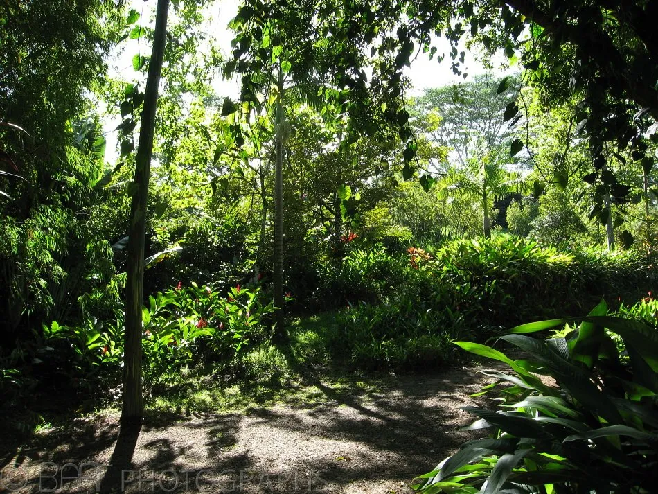 Hawaii - Maui-6
