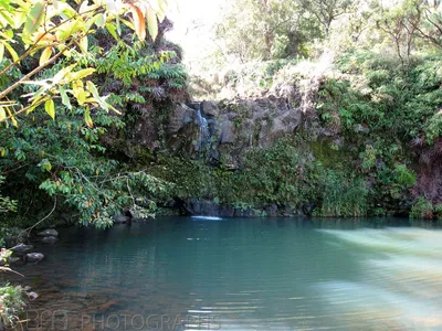 Hawaii - Maui-8