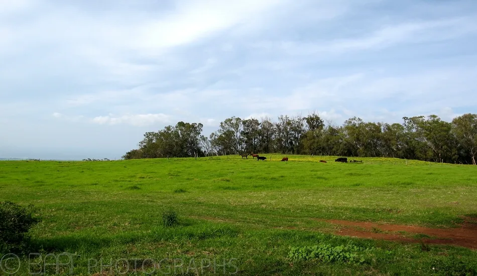 Hawaii - Maui-12