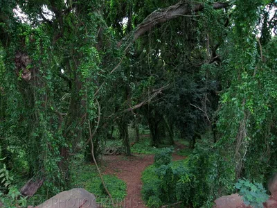 Hawaii - Maui-13
