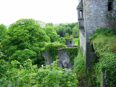 Ireland - Blarney Castle-1