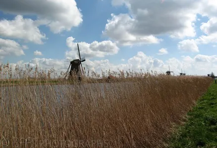 Kinderdijk-2