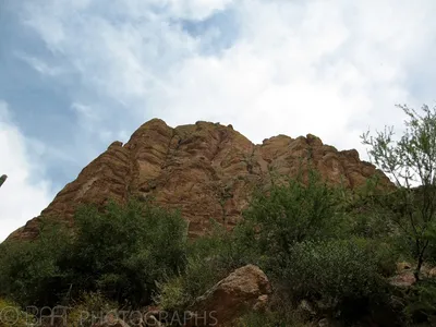 Arizona - Phoenix-11