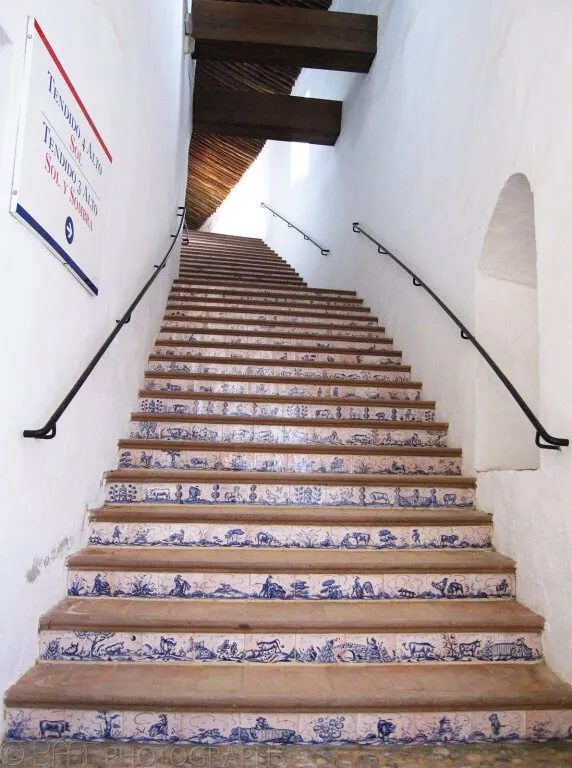 Andalucia - Ronda, Malaga-5