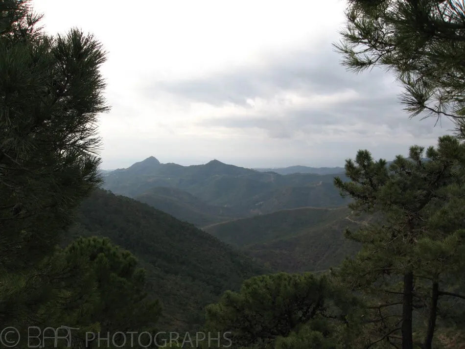 Andalucia - Ronda, Malaga-6