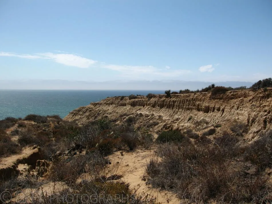 San Diego-3