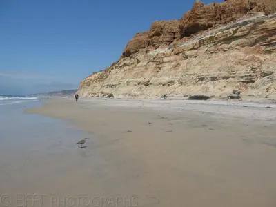 San Diego-4