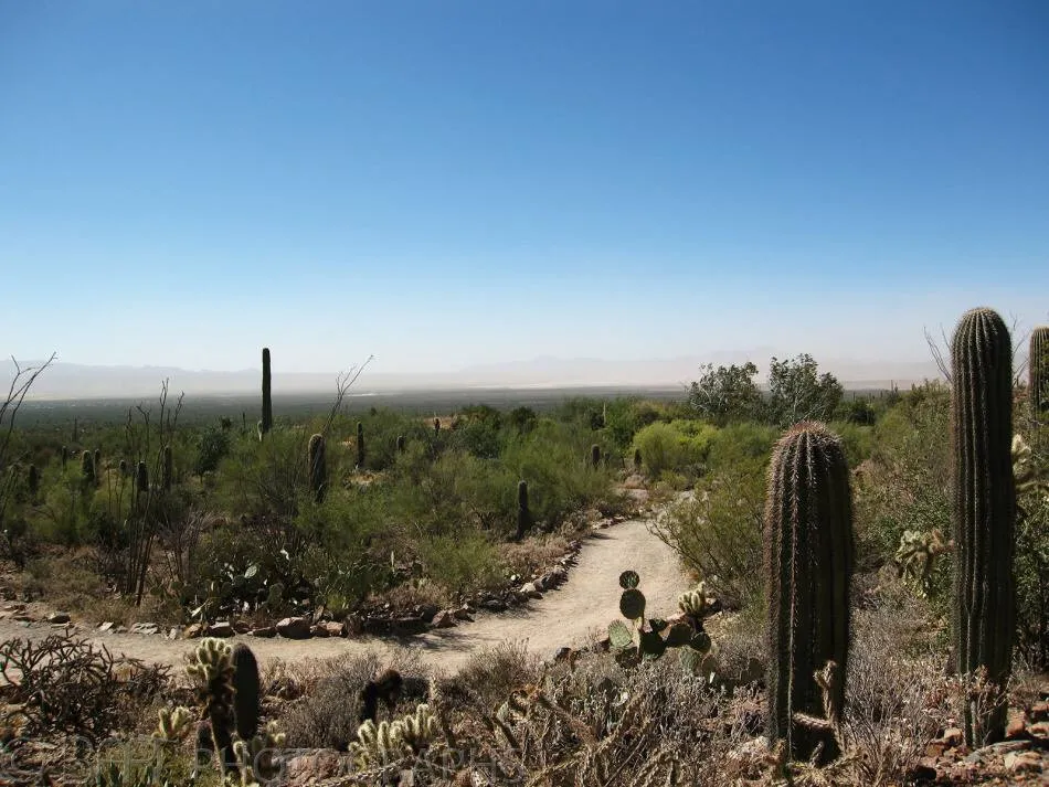Arizona, Tucson-2