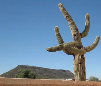 Arizona, Tucson-3