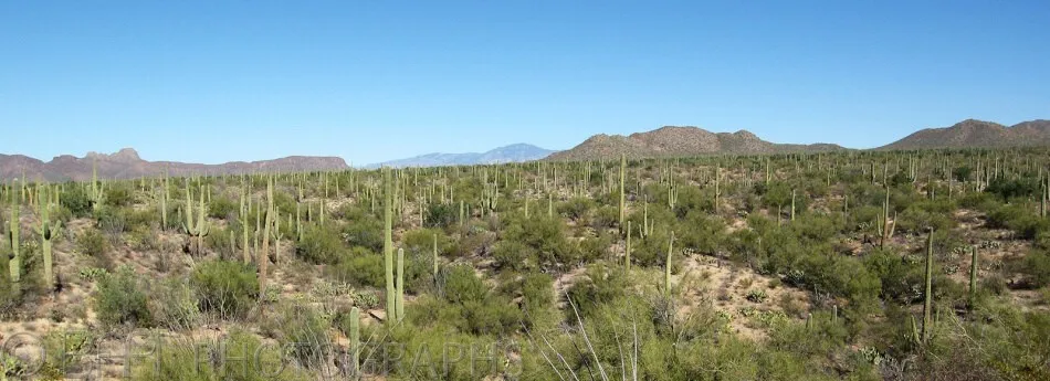 Arizona, Tucson-6