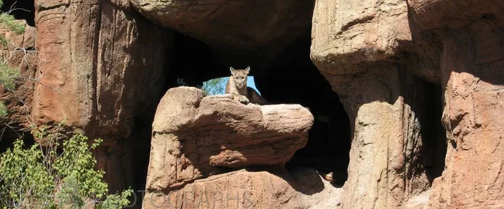 Arizona, Tucson-10