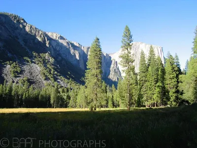 California - Yosemite-1