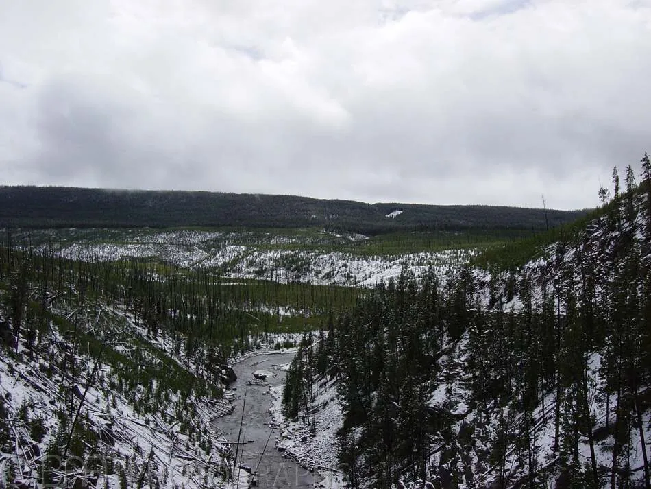 Montana - Yellowstone-0
