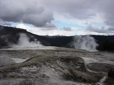 Montana - Yellowstone-2