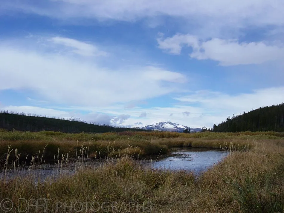 Montana - Yellowstone-4