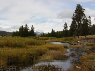 Montana - Yellowstone-5