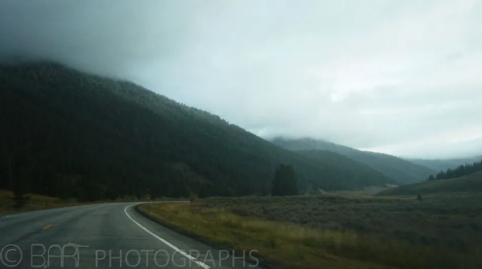 Montana - Yellowstone-6